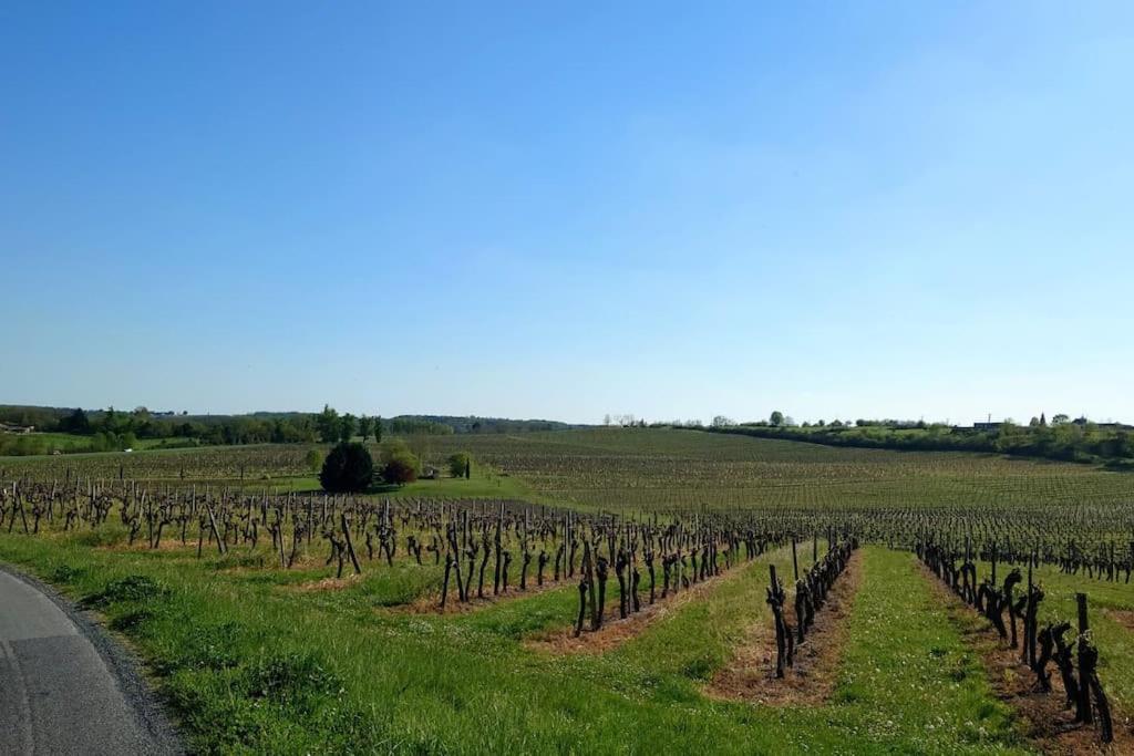 Entre Pierre Et Vigne - Charming Former Winery Farmhouse With Hot Tub & Swimming Pool 莫内斯捷 外观 照片
