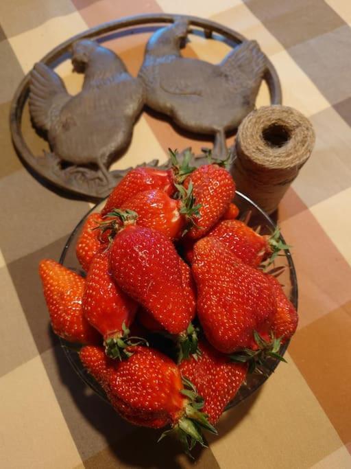 Entre Pierre Et Vigne - Charming Former Winery Farmhouse With Hot Tub & Swimming Pool 莫内斯捷 外观 照片